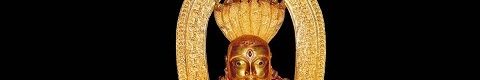Shiva Maha Purana, Vishnu Purana, garuda purana, bhavishya purana, skanda purana.