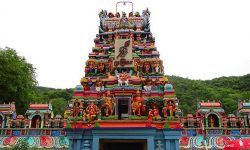 MADURAI KSHETHRA - Palamudircholai Murugan Temple